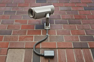Bild: RedDaxLuma / Shutterstock.com